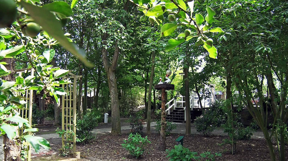 ferienwohnung-stulken-park2.jpg